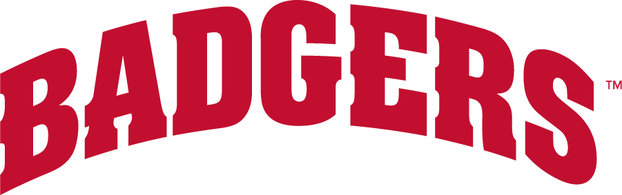 Wisconsin Badgers 2017-Pres Wordmark Logo v2 diy iron on heat transfer